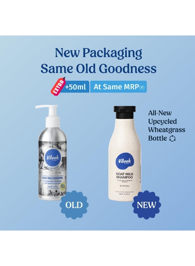 vilvah STORE Vilvah Goat Milk Shampoo | with Ceramides for Dry & Frizzy Hair | Nourishing Natural Shampoo that Strengthens, Smoothens & Adds Shine | Sulphate-Free Hair Cleanser for Men & Women | 250ml - Image 2